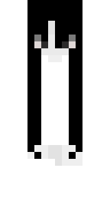 Передняя часть скина игрока Nice_Surprise