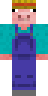 Передняя часть скина игрока Nikishmyk