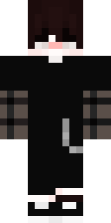 Передняя часть скина игрока Nixik