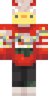 Передняя часть скина игрока NovaElite001