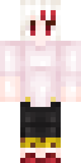 Передняя часть скина игрока NweToN