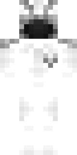 Передняя часть скина игрока NyaHoshi