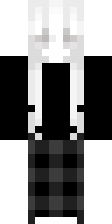 Передняя часть скина игрока NyanTun