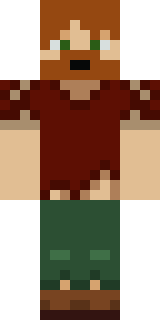 Передняя часть скина игрока Penis35