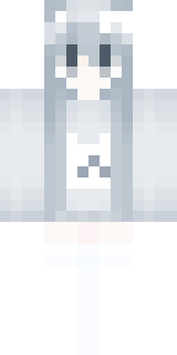 Передняя часть скина игрока PeyGeNCooL06