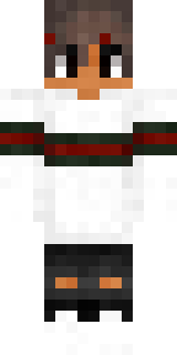 Передняя часть скина игрока Pro_Bro_Nikita