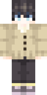 Передняя часть скина игрока Program_YT