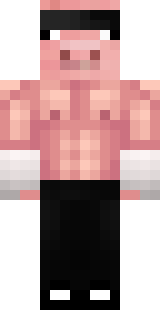 Передняя часть скина игрока QS_Team