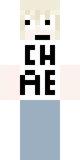 Передняя часть скина игрока R4DIK_