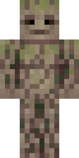 Передняя часть скина игрока Ra3yMuCT_LDG