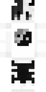 Передняя часть скина игрока Reach_Top4ik