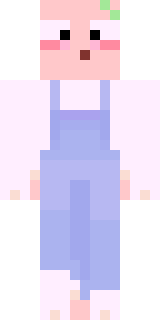 Передняя часть скина игрока Reddwir