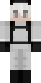 Передняя часть скина игрока RemRunThePlay