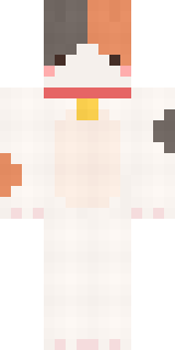 Передняя часть скина игрока RixQuinn