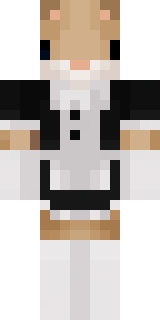 Передняя часть скина игрока Ross004