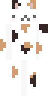 Передняя часть скина игрока RoziCat