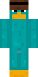 Передняя часть скина игрока S1DaN1