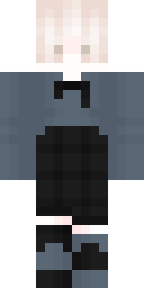 Передняя часть скина игрока SELLYK