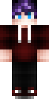 Передняя часть скина игрока Scratch1337