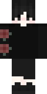 Передняя часть скина игрока ShineBored