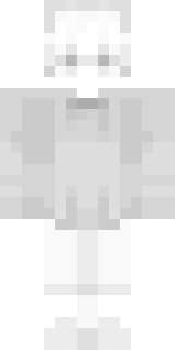 Передняя часть скина игрока SkeIlT