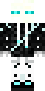 Передняя часть скина игрока Skoda