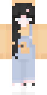 Передняя часть скина игрока SkyFlyYT