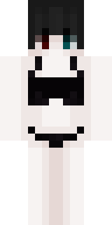 Передняя часть скина игрока SkyTerWar