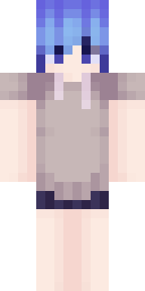 Передняя часть скина игрока Steall