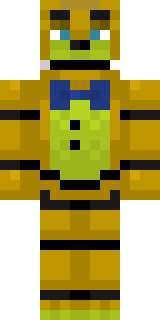 Передняя часть скина игрока SwerJ