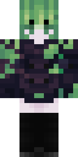 Передняя часть скина игрока TBOU_APUSUN