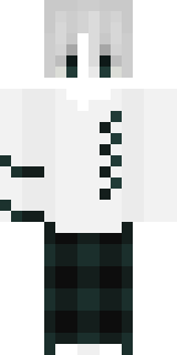 Передняя часть скина игрока TeaWithSugar