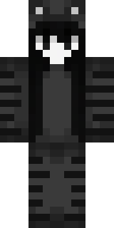 Передняя часть скина игрока TerencePage