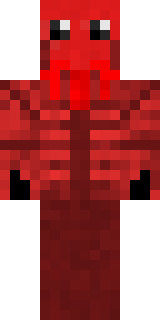 Передняя часть скина игрока TheFoogles