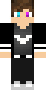 Передняя часть скина игрока TheGamer123