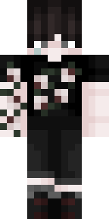 Передняя часть скина игрока TheMishaRemy