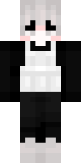 Передняя часть скина игрока TheSeanes