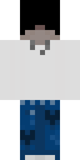 Передняя часть скина игрока TheShelly