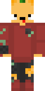 Передняя часть скина игрока TimonGamers