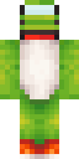 Передняя часть скина игрока TpuHuTu