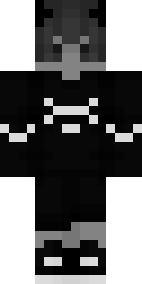 Передняя часть скина игрока Unable