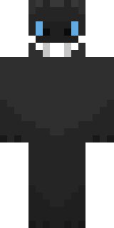 Передняя часть скина игрока ValterHero