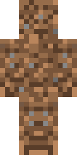 Передняя часть скина игрока Vashexyini