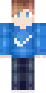 Передняя часть скина игрока Verzotion