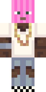 Передняя часть скина игрока Walkarion