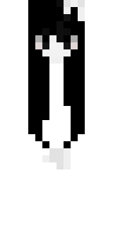 Передняя часть скина игрока Wikysha