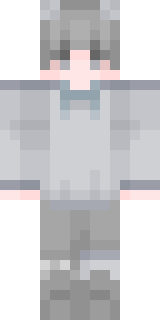 Передняя часть скина игрока Willingstone