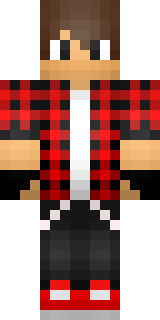 Передняя часть скина игрока XealGamer