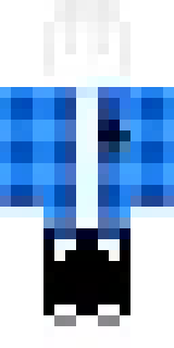 Передняя часть скина игрока Xemii16