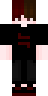 Передняя часть скина игрока Zarend